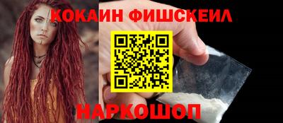 мдпв Камышлов