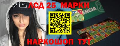 мдпв Камышлов