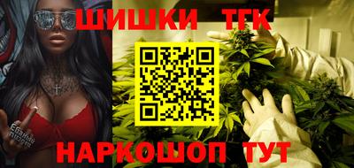 мдпв Камышлов