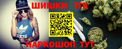 мдпв Камышлов