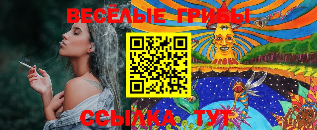Галлюциногенные грибы Magic Shrooms  Вход с VPN  Кострома  Псилоцибиновые грибы мухоморы 